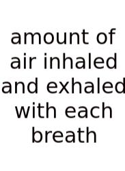 Amount Of Air Inhaled And Exhaled With Each Breath
