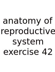 Anatomy Of Reproductive System Exercise 42