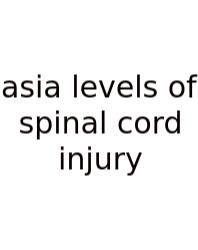 Asia Levels Of Spinal Cord Injury