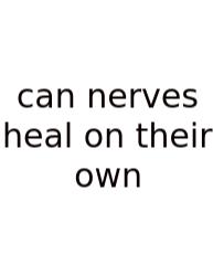 Can Nerves Heal On Their Own