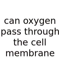 Can Oxygen Pass Through The Cell Membrane