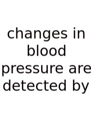 Changes In Blood Pressure Are Detected By