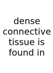 Dense Connective Tissue Is Found In