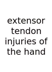 Extensor Tendon Injuries Of The Hand