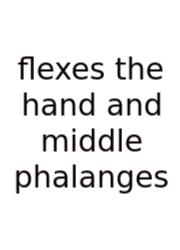 Flexes The Hand And Middle Phalanges