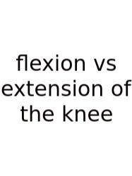 Flexion Vs Extension Of The Knee