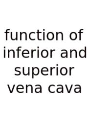 Function Of Inferior And Superior Vena Cava