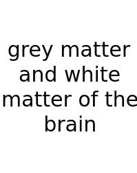 Grey Matter And White Matter Of The Brain