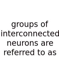 Groups Of Interconnected Neurons Are Referred To As