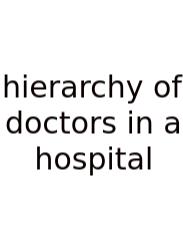 Hierarchy Of Doctors In A Hospital