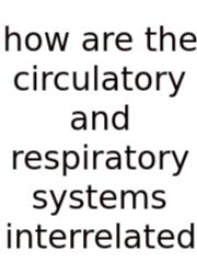 How Are The Circulatory And Respiratory Systems Interrelated
