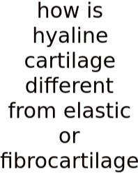 How Is Hyaline Cartilage Different From Elastic Or Fibrocartilage