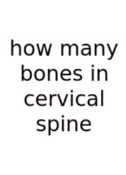 How Many Bones In Cervical Spine