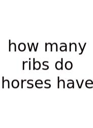 How Many Ribs Do Horses Have