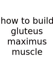 How To Build Gluteus Maximus Muscle
