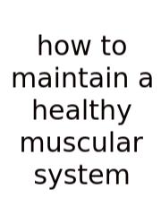 How To Maintain A Healthy Muscular System