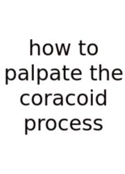 How To Palpate The Coracoid Process