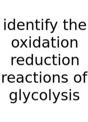 Identify The Oxidation Reduction Reactions Of Glycolysis