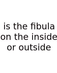 Is The Fibula On The Inside Or Outside