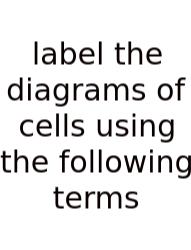 Label The Diagrams Of Cells Using The Following Terms