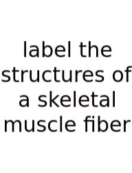 Label The Structures Of A Skeletal Muscle Fiber