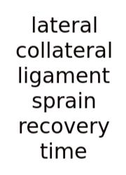 Lateral Collateral Ligament Sprain Recovery Time