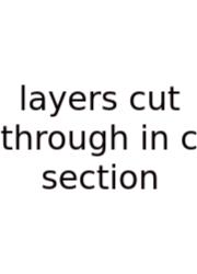 Layers Cut Through In C Section