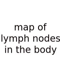 Map Of Lymph Nodes In The Body