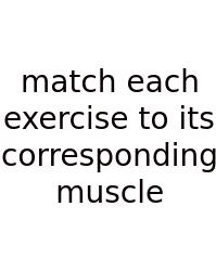 Match Each Exercise To Its Corresponding Muscle