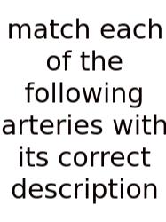 Match Each Of The Following Arteries With Its Correct Description