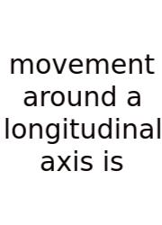 Movement Around A Longitudinal Axis Is