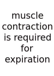 Muscle Contraction Is Required For Expiration