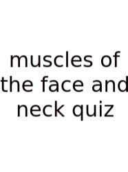 Muscles Of The Face And Neck Quiz