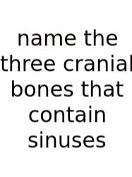 Name The Three Cranial Bones That Contain Sinuses