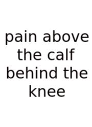 Pain Above The Calf Behind The Knee