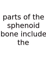 Parts Of The Sphenoid Bone Include The