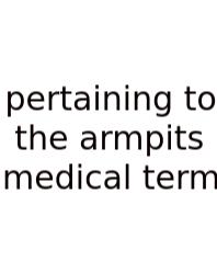 Pertaining To The Armpits Medical Term