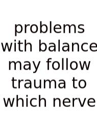 Problems With Balance May Follow Trauma To Which Nerve