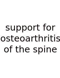 Support For Osteoarthritis Of The Spine