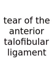 Tear Of The Anterior Talofibular Ligament