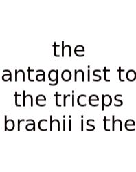 The Antagonist To The Triceps Brachii Is The