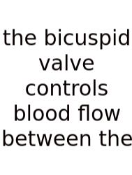 The Bicuspid Valve Controls Blood Flow Between The