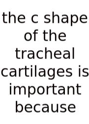 The C Shape Of The Tracheal Cartilages Is Important Because