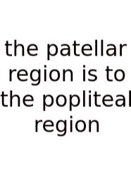 The Patellar Region Is To The Popliteal Region