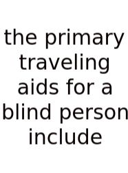 The Primary Traveling Aids For A Blind Person Include