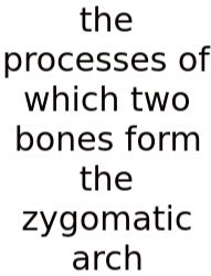 The Processes Of Which Two Bones Form The Zygomatic Arch