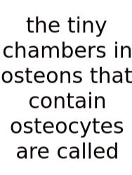 The Tiny Chambers In Osteons That Contain Osteocytes Are Called