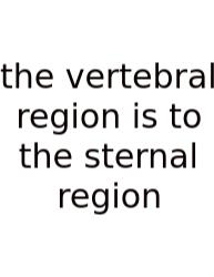 The Vertebral Region Is To The Sternal Region