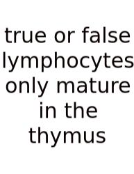True Or False Lymphocytes Only Mature In The Thymus