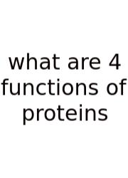 What Are 4 Functions Of Proteins